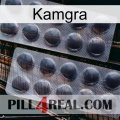 Kamgra 31